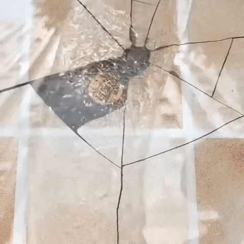 Ação impermeável rápida