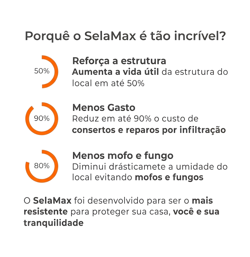 SelaMax Infográfico